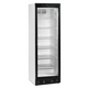 Шкаф морозильный Tefcold UFSC370G